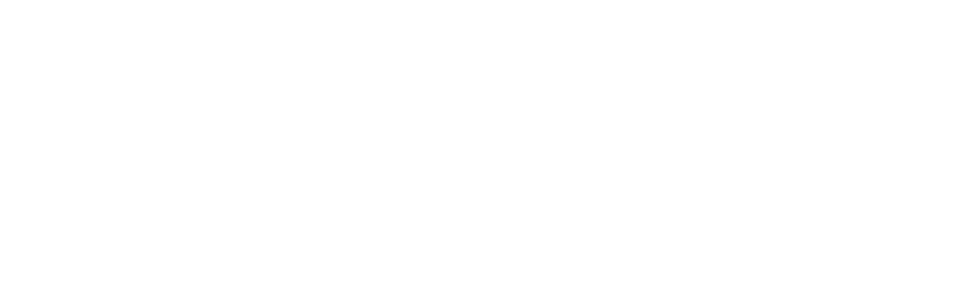 Dell Technologies Platinum Partner logo